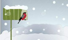 来自小鸟的一封信