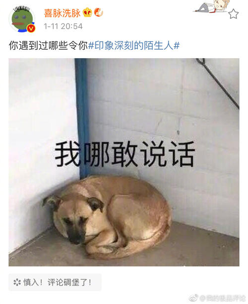令人印象深刻的陌生人