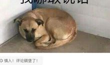 印象深刻的陌生人