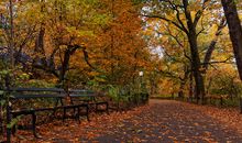 秋天的中央公园