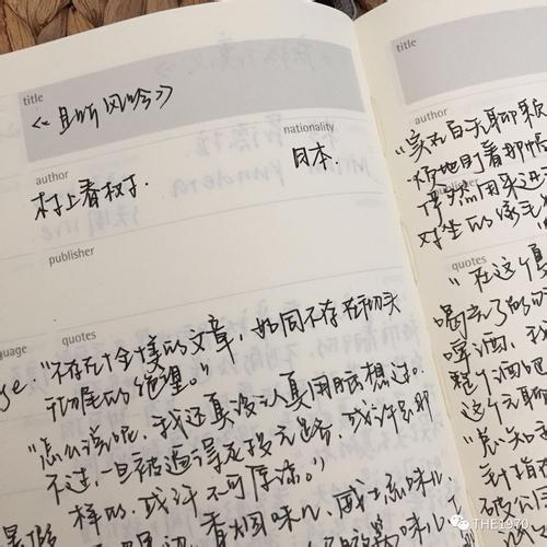 我理解你的作文1000字