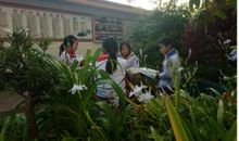 校园美好的一天