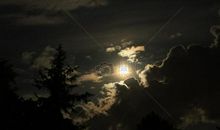 一盏黑暗中的灯