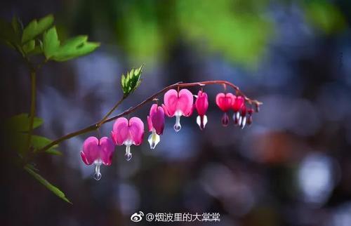 春天是美好的