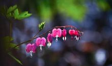 春天，妙不可言