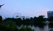 家乡的十六潭公园