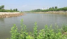 愿清清河水永存