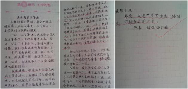 随笔论文600字