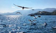 记忆中的那片湖