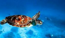 我与诗的亲密接触