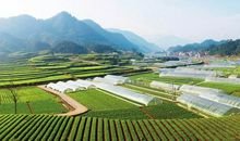 燕赵“特产”美名扬