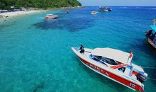 金沙岛海底之行