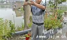 我眼里的新靖江