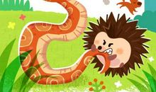 勇敢的小刺猬作文300字