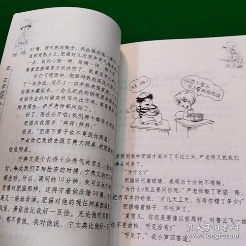 我们班上的坏男孩写了300字