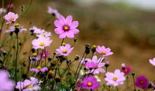 他深深地留在我记忆中