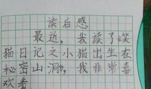 让她再笑一会儿读后感