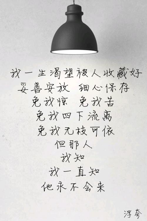 我了解那细心的爱