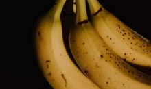 都是冰箱惹的祸