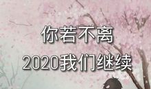 我面临的舍与得