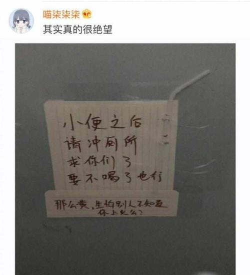 我能为你做什么