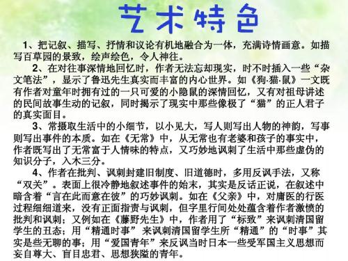 看完蚂蚁的生活