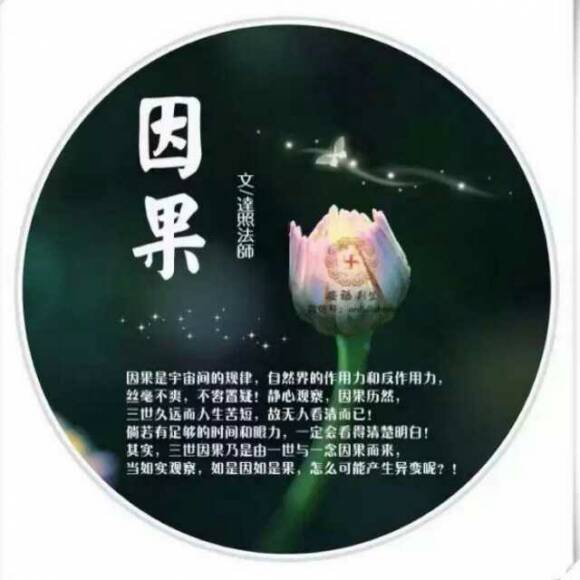 我学会了七年级打架
