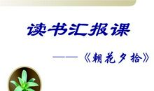 读书汇报课