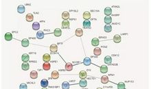 传统工艺——抽丝剥茧