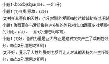 平淡中也有诗作文800字