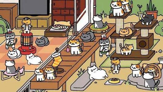 猫后院
