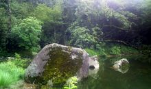 人间仙境天井山