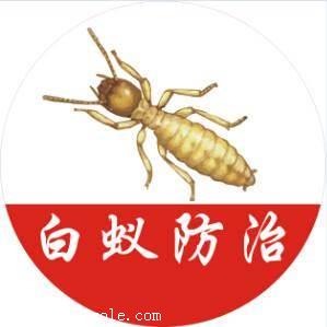 消除白蚁