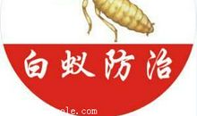 消灭白蚁