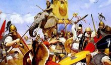 我的第一次经商