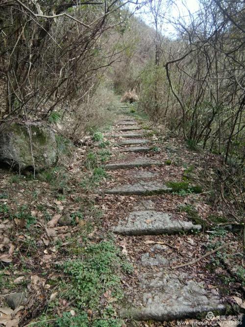 太阳岭的故乡