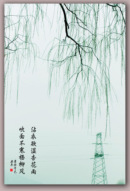 恼人的春雨