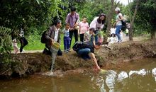 今天我是“小农夫”