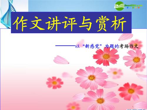 新书新感觉