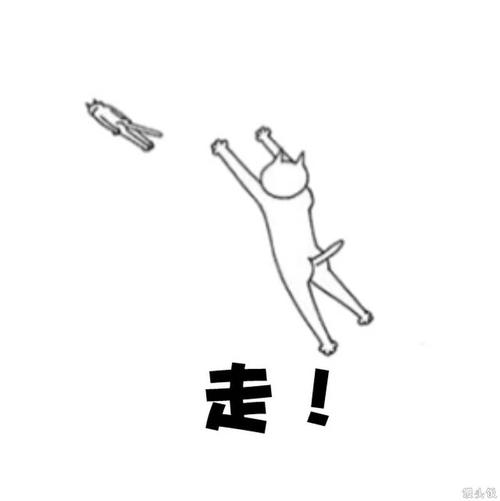 让铅球放飞一会儿