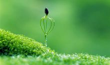 倾听生命读后感