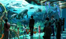 珠海长隆海洋公园见闻录