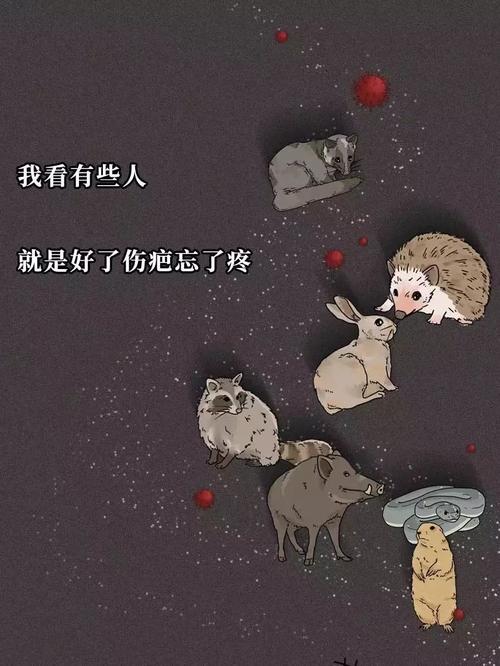 蝙蝠给人类的信