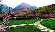 一路风景，一路笑