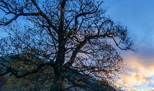 学会转弯是一种智慧