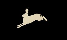 “奔跑”的小水珠