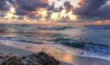 我读懂了年轻的生命