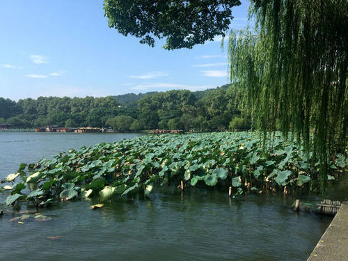 西湖秋季游
