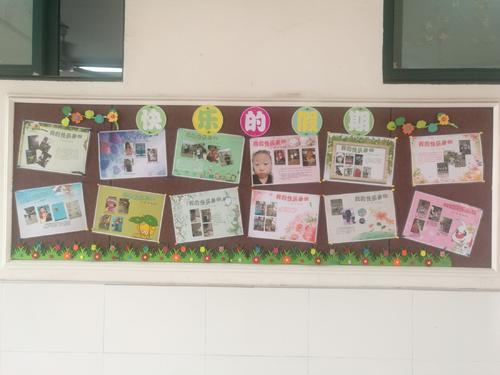 一篮子夏日乐趣