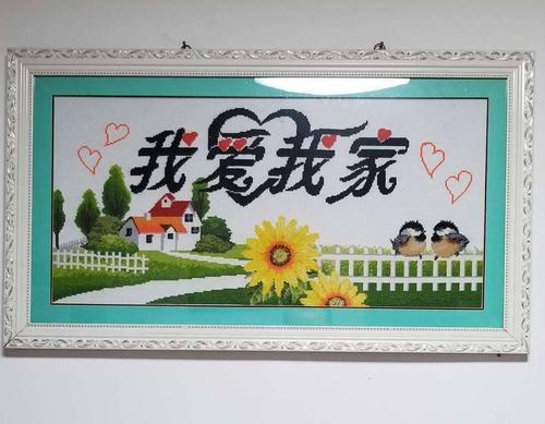 贫穷的家庭风格，年轻人，才华